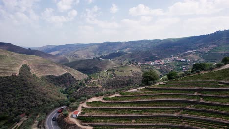 Cars-driving-on-road-along-vineyard-terraces-in-Douro-valley,-Portugal