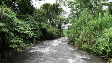 Rápidos-De-Agua-Blanca-Del-Río-Que-Fluye-Rápidamente-En-El-Valle-De-La-Selva-Tropical