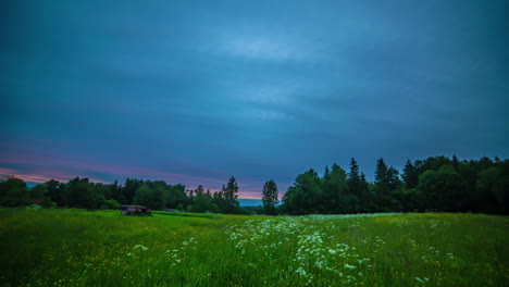 Colorful-golden-to-purple-sunset-and-nightfall-on-an-overcast-evening-above-a-countryside-meadow-with-wildflowers---time-lapse
