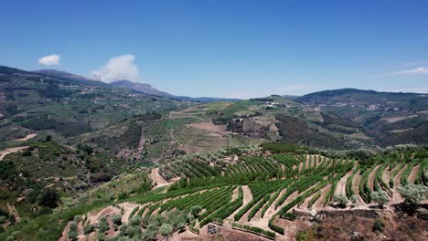 Vineyard-terraces-above-rural-Douro-valley-in-Portugal-below-blue-sky