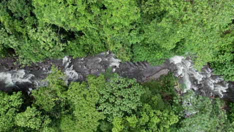 White-water-river-rapids-flowing-in-lush-jungle-rainforest,-Costa-Rica