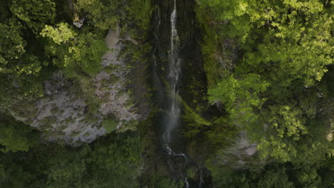 Above-shot-of-a-calm,-narrow-waterfall-in-harmony-with-surrounding-wilderness