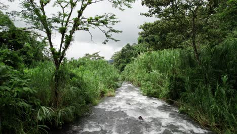 White-water-river-stream-in-lush-wetland-jungle-valley-in-Costa-Rica