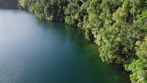Tropical-Vegetation-Surrounding-Lake-Eacham-In-Atherton-Tableland,-Queensland,-Australia---drone-shot