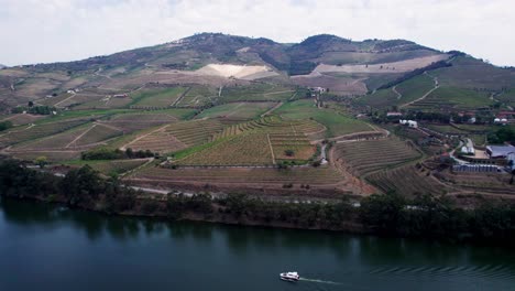Boat-cruising-on-Douro-river-in-Portugal-below-vineyard-hill-terraces