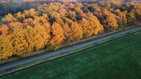 Ein-Biker-Auf-Einer-Landstraße-Mit-Herbstfarben-In-Den-Niederlanden