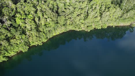 Green-Tropical-Rainforest-In-Lake-Eacham,-Atherton-Tableland,-Queensland,-Australia---drone-shot