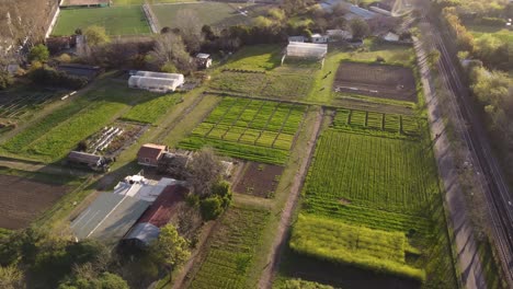 Vegetable-plot-grown-on-farmland-along-railway-at-sunset,-Buenos-Aires-in-Argentina