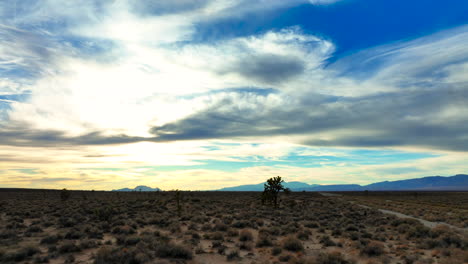 Joshua-Bäume-Und-Niedrige-Vegetation-Gedeihen-In-Der-Mojave-Wüste---Bunte-Aussicht-Auf-Den-Gleitenden-Sonnenuntergang-Aus-Der-Luft