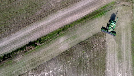 Aerial-footage-of-soy-bean-harvesting-on-a-farm-field-with-a-harvester-or-tractor,-downward-angle