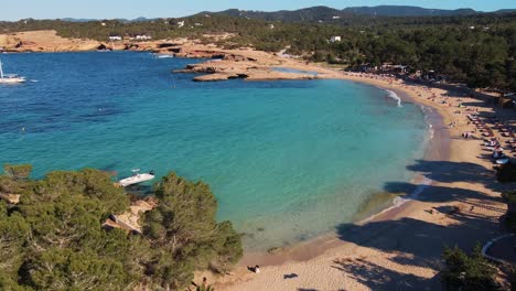 Aerial-drone-view-moving-over-trees-revealing-Cala-Bassa-Beach-in-Ibiza-with-sail-boats-in-the-beautiful-blue-ocean-off-coast-of-Spain