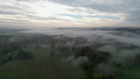 Flying-over-a-forest-with-fog-lingering-between-the-trees-and-over-the-fields