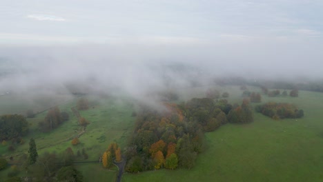 Rückwärts-Durch-Den-Nebel-Mit-Einer-Drohne-über-Leuchtende,-Herbstfarbene-Bäume-Fliegen
