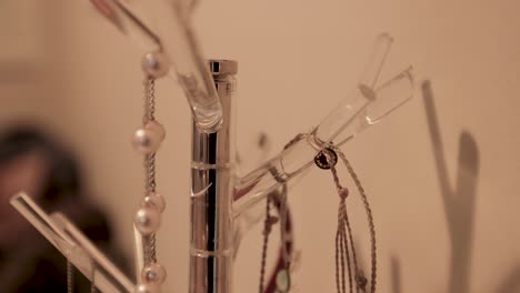 Jewelry-Holder-in-the-Form-of--Tree-Branches