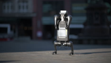 Robot-dog-stands-on-its-hind-legs,-doing-tricks,-Xiaomi-CyberDog