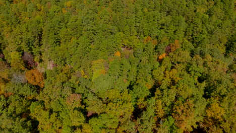 Aerial-turning-over-trees-in-Autumn-in-the-country-in-southern-Missouri-on-a-pretty-day