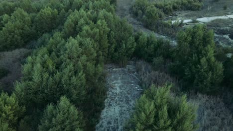 Aerial-view-of-dried-up-river-bed-with-trees