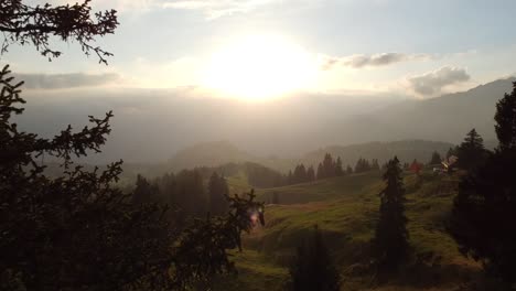 Fliegen-Zu-Einem-Wunderschönen-Sonnenuntergang-In-Der-Schweiz-Mit-Wald-Im-Vordergrund