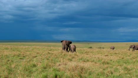 Eine-Elefantenmutter-Und-Ihr-Baby-Gehen-Neben-Der-Herde-Im-Gras-Der-Afrikanischen-Savanne-Spazieren