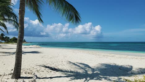 Strandspaziergänge-Mit-Palmen-Auf-Weißer-Sandlandschaft-Der-Karibik,-Reisen-Auf-Der-Insel-Dos-Mosquises