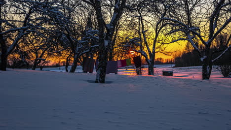 Zeitraffer-Des-Goldenen-Sonnenaufgangs-Hinter-Blattlosen-Bäumen-Während-Des-Verschneiten-Wintertages