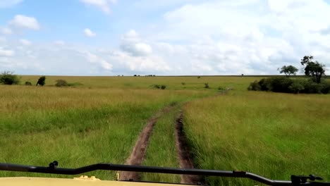 View-from-inside-a-4x4-car-traveling-on-a-rural-road,during-a-safari-in-the-middle-of-a-grassy-plain