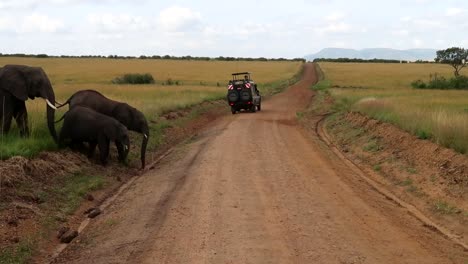 Elefantes-Salvajes-Cruzando-Un-Camino-De-Tierra-Mientras-Los-Turistas-Los-Observan-Desde-Un-Camión-En-Un-Safari-En-África