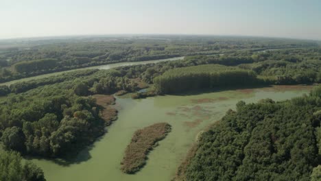 Aerial-tilt-down-drone-footage-flying-above-the-old-river-bed-of-river-Danube-and-its-small-streams-and-lakes