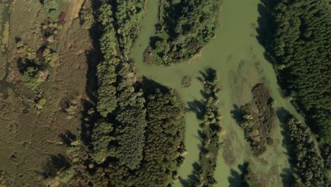 Aerial-overhead-reveal-drone-footage-flying-above-river-Danube-and-its-small-streams-and-lakes
