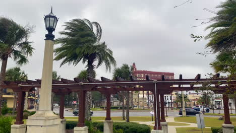 Wind-blowing-palm-trees-before-hurricane-in-downtown-St