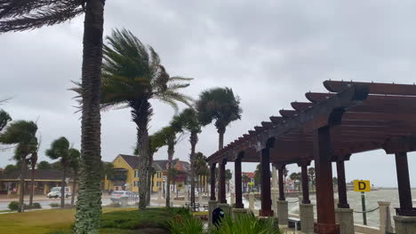 Strong-hurricane-storm-winds-blowing-palm-trees-in-St
