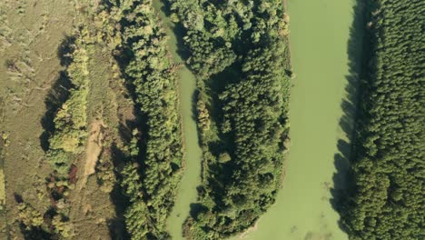 Aerial-overhead-reveal-footage-flying-above-the-old-river-bed-of-river-Danube-and-its-streams