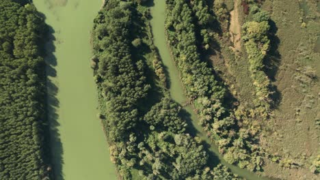 Luftaufnahmen-über-Dem-Alten-Flussbett-Der-Donau-Und-Ihrer-Bäche