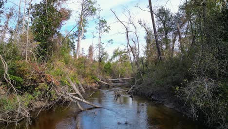 Levantándose-De-Los-árboles-Caídos-Por-El-Agua-En-Econfina-Creek-En-Florida-Panhandle