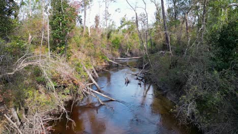 Retrocediendo-Sobre-árboles-Caídos-Bloqueando-Econfina-Creek-En-El-Panhandle-De-Florida