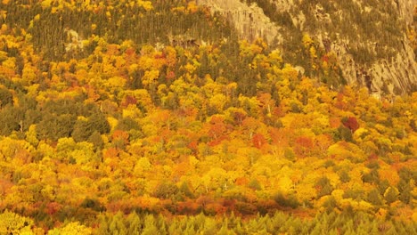 Tilting-shot-reveals-Borestone-Mountain-above-fall-colored-woodland-in-sunlight