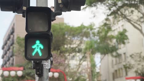 Traffic-Lights-at-Asian-Neighborhood-in-Brazil