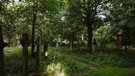 Drone-shot-creeping-slowly-through-a-forgotten-overgrown-cemetery-with-beautiful-old-headstones-and-dappled-sunlight