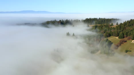 Flyover-above-house-in-mountain-forest-clearing-on-beautiful-foggy-morning