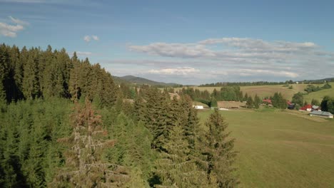 Aerial-drone-footage-of-horses-grazing-on-a-pasture-in-Sihla-Slovakia