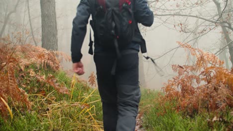 El-Hombre-Está-Caminando-En-Un-Bosque-De-Niebla-Durante-El-Otoño,-Brumoso-Si-La-Atmósfera