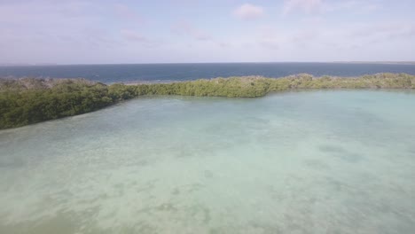 Aerial-view-dolly-out-reveals-tropical-lagoon-and-mangrove-surrounded-by-turquoise-water
