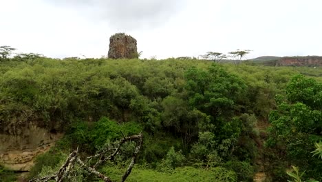 Green-Acacia-forest-in-Hells-Gate-National-Park-in-Kenya,-Africa