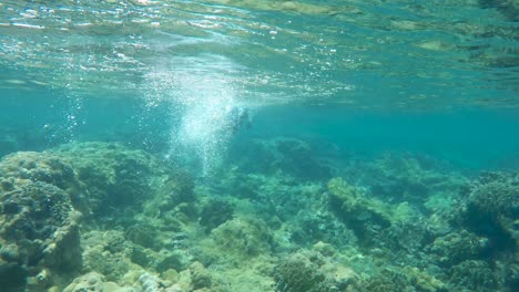 Mann-Schnorchelt-Mit-Flossen-Unter-Wasser-Mit-Tropischen-Fischen-Im-Korallenriff-Der-Karibik