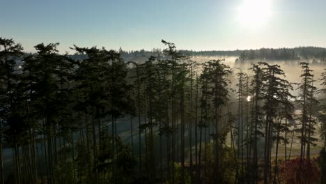 Aerial-of-a-tree-line-surrounding-a-golf-course-with-the-morning-sun-peaking-through