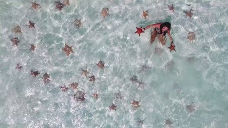 Woman-Hold-two-Starfish-under-shallow-water,-Aerial-top-view-crystal-sea-water