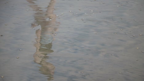 Reflection-of-Teenage-Girl-Walking-on-Sand-at-Beach-Towards-Ocean,-While-Bending-Over-to-PickUp-Seashells