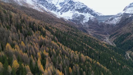 Stunning-drone-footage-of-an-alpine-valley-in-Autumn-with-different-coloured-trees-and-river-flowing-on-the-valley-floor-surrounded-by-snow-dusted-mountain-peaks