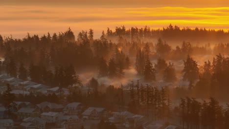 Luftaufnahme-Einer-Nachbarschaft-Und-Eines-Nahe-Gelegenen-Waldes,-Umgeben-Von-Nebel-Im-Frühen-Morgenlicht