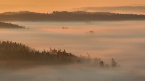 Aerial-view-of-mountain-tops-covered-in-evergreen-trees-peaking-through-the-morning-fog